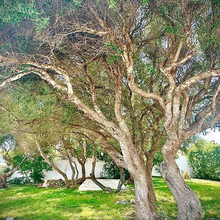 Starbal Love Es Castell (Menorca) Exterior foto