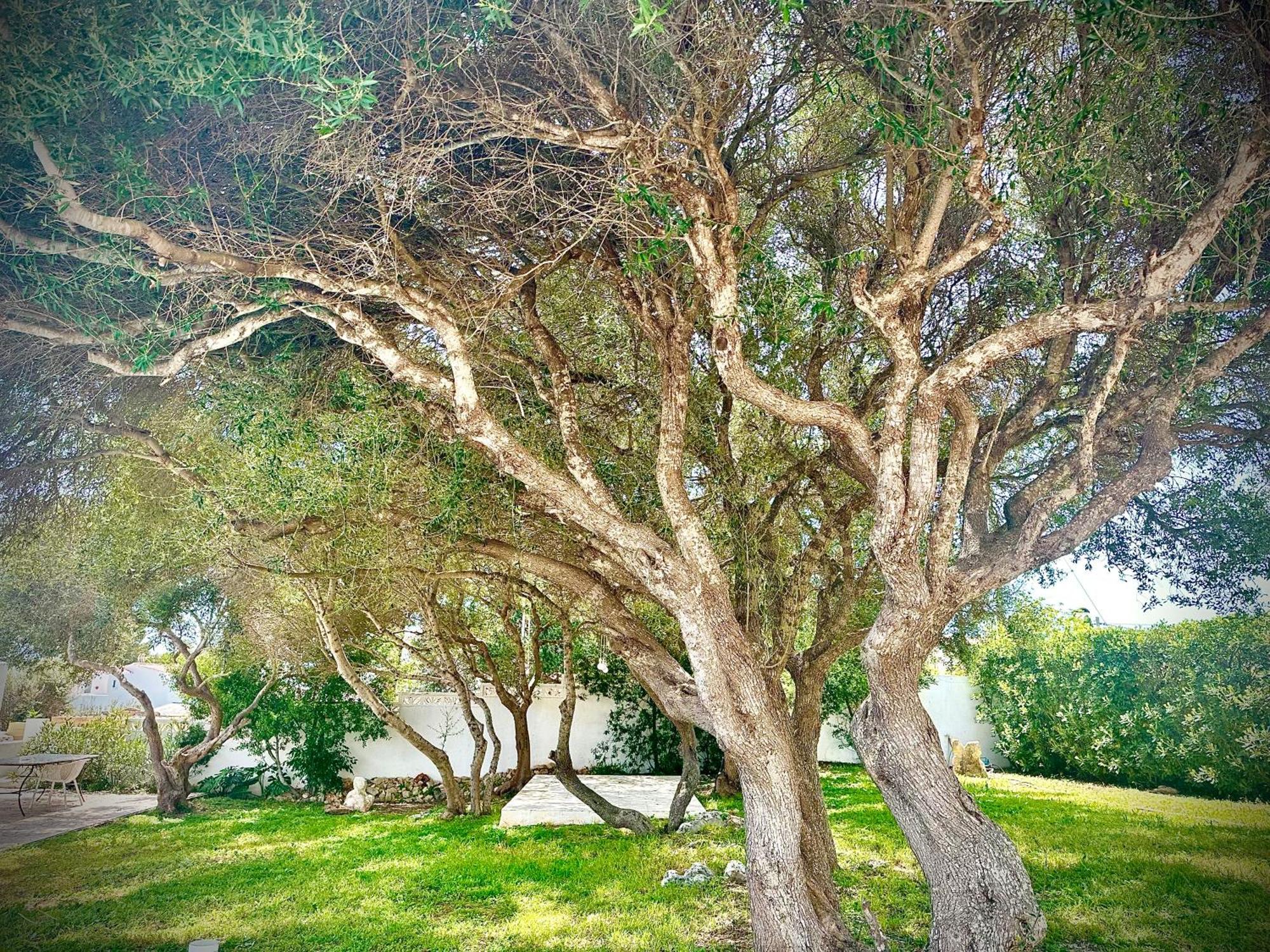 Starbal Love Es Castell (Menorca) Exterior foto